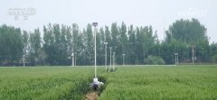 “聪慧种地”提质增效帮力夏粮丰登丰收 科技赋